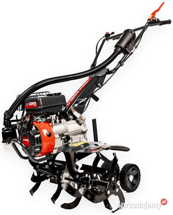 CEDRUS GL50 GLEBOGRYZARKA SPALINOWA OGRODOWA Opalenica