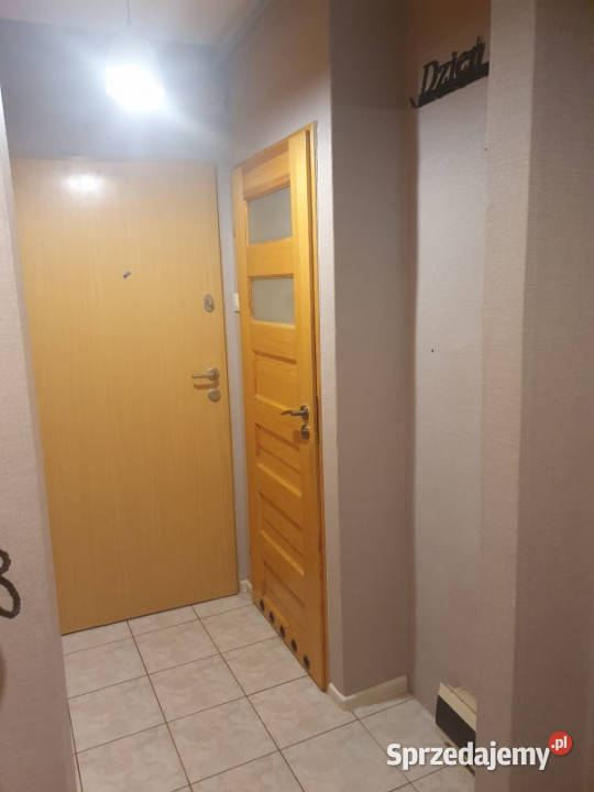 Mieszkanie 2 pokojowe SośnicaGliwice śląskie Gliwice