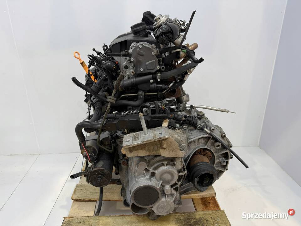 SILNIK ASZ VW Golf IV Bora Audi A3 8L Octavia Chełm