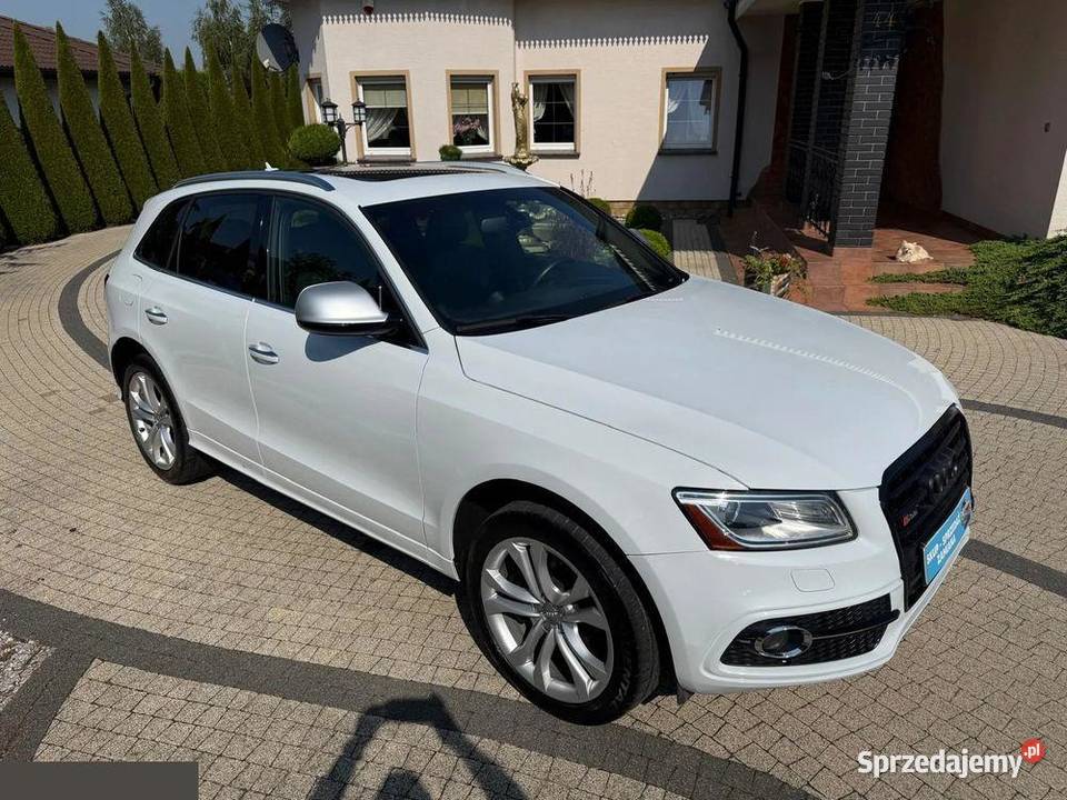 Audi SQ5 30 TFSI Quattro Tiptronic 354 2016r wielkopolskie Krotoszyn