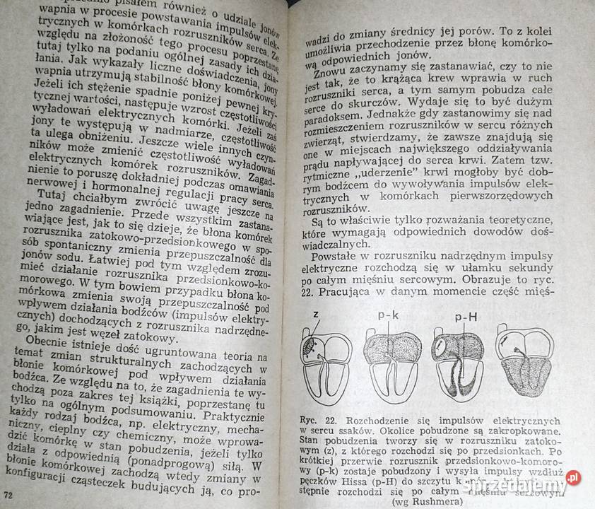 Automatyzm pracy serca Bronisław Cymborowski