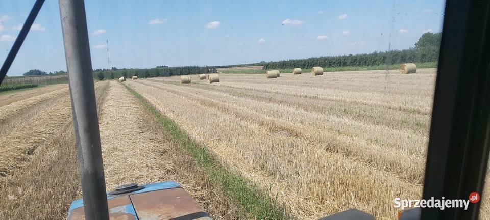 Sprzedam słomę pszenna owsiana Trawy, słoma świętokrzyskie Wojcieszyce