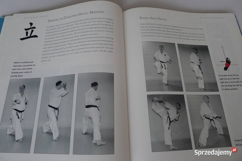 COLLINS Absolute Karate Kyokushin Knockdown 2 ks mazowieckie Radom
