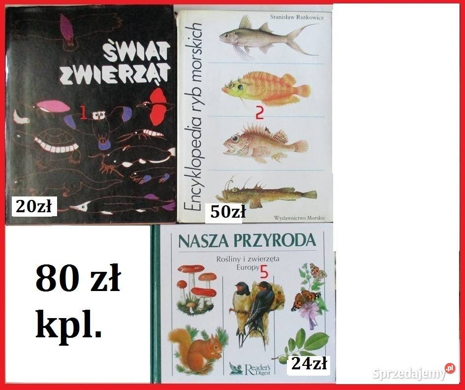 Fauna ptaki ssaki gadyrybyPuchalski biologia, ekologia Łódź