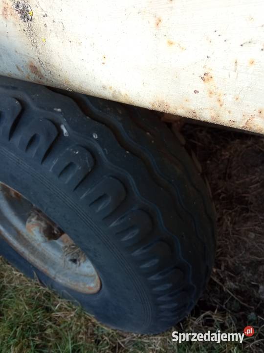 Rozrzutnik lubelskie Wirkowice Pierwsze