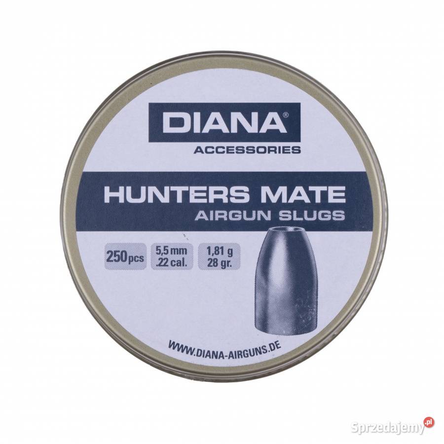 10x Śrut Diana Hunters Mate Slug 55 mm 250 wielkopolskie Przyłęki