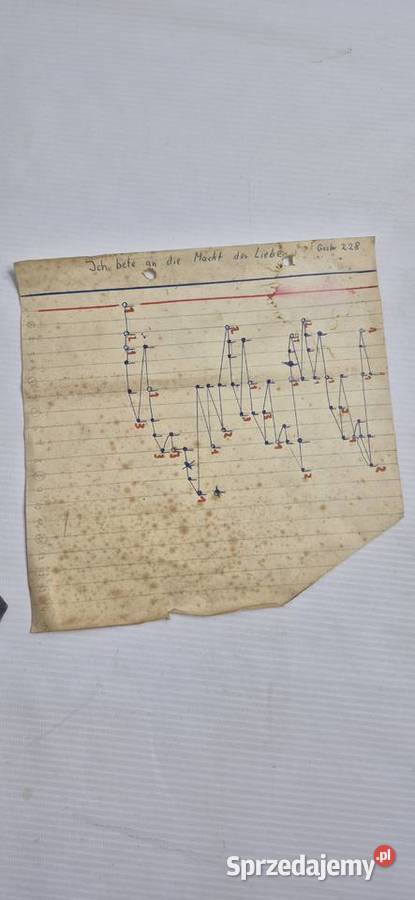 Antyczna Cytra Gitarowa GitarrZither Made in Biłgoraj