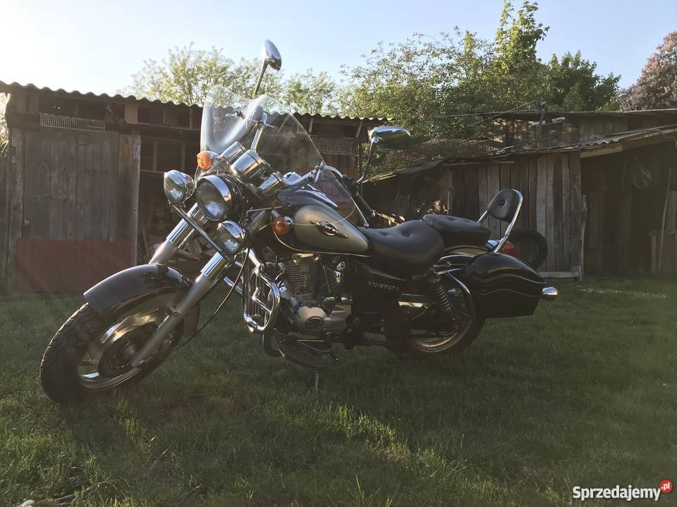 Chopper JINLUN JL1505 nieuszkodzony Rejowiec