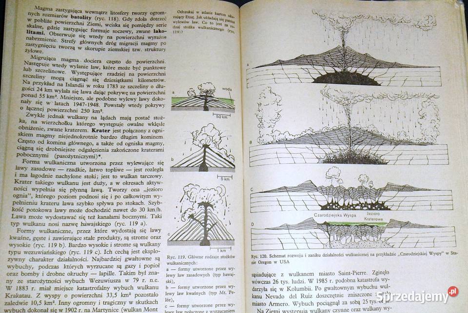 Geografia fizyczna z geologią Wojciech Chełm sprzedam