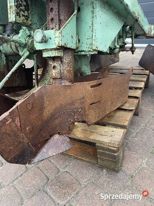 Sadzarka czeska Mszczonów