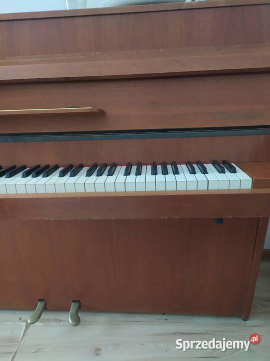 Pianino Wilh Steinmann Czchów