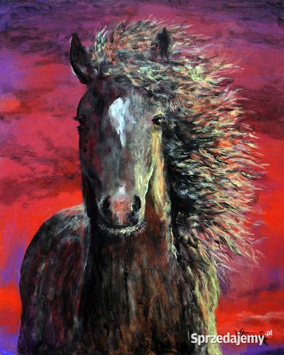 Obraz olejny PORTRET KONIA śląskie Gliwice sprzedam