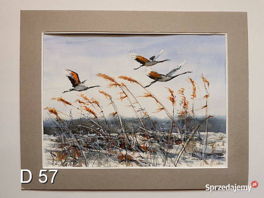 Akwarela Obraz Pejzaż lubuskie