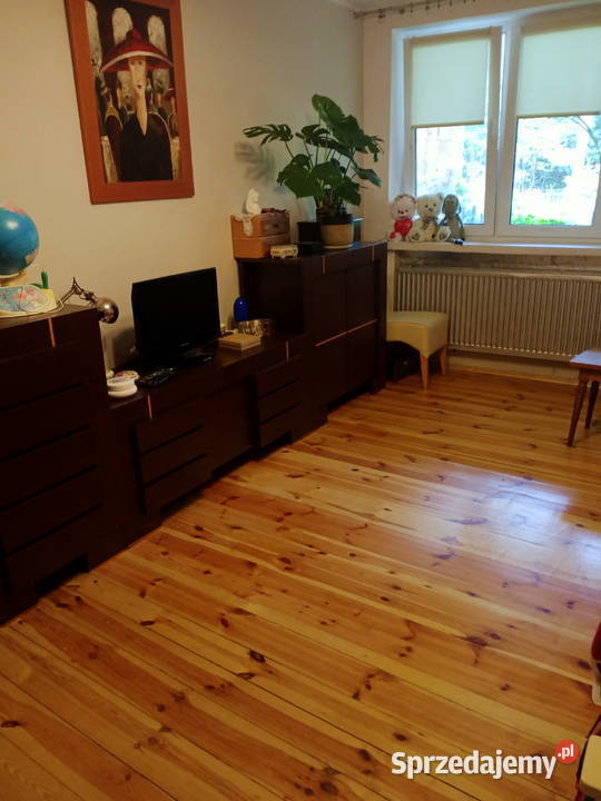 Sprzedam dom z działką pod lasem mazowieckie Odrzywół