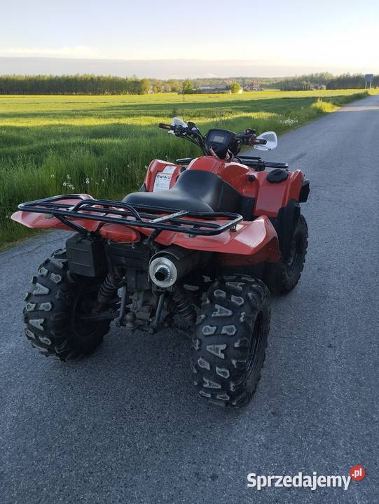Suzuki kingquad 450 4x4 500 grizzly trx kodiak łódzkie Kobiele Wielkie