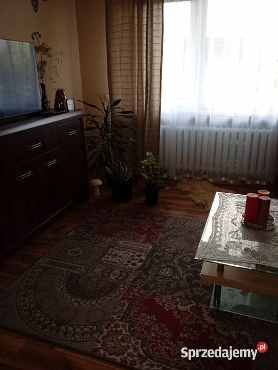 Udziały w nieruchomości wspólnej piwnica Wzdół Rządowy sprzedam
