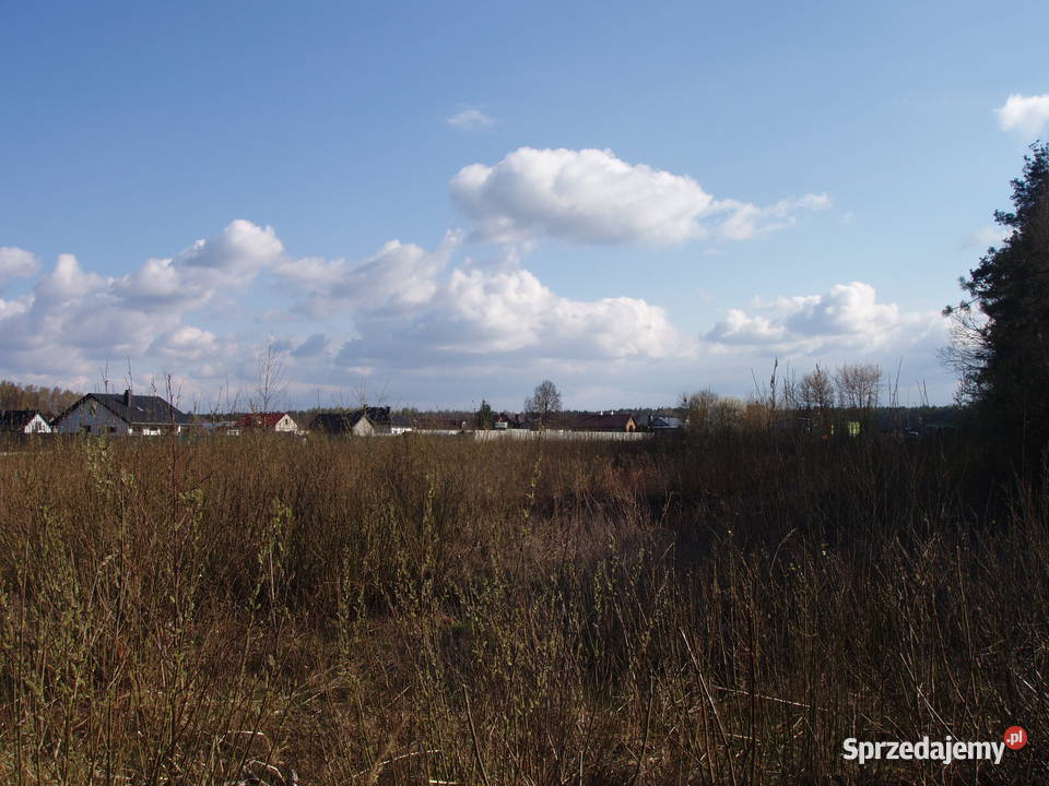 Działka 3000 m z warunkami zabudowy lesie Lorcin