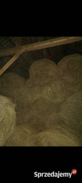 Sprzedam Siano mazowieckie Węgrów
