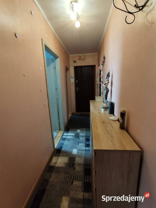 Rzeszów centrum Mieszkanie 2 pokoje 4211 m2 podkarpackie