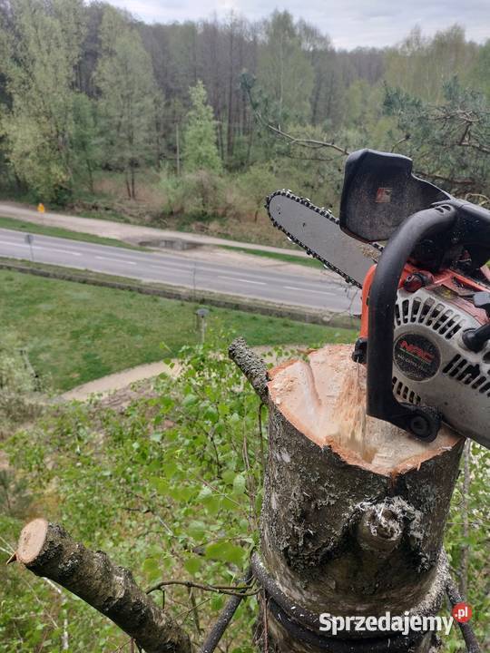 Pielęgnacja drzew terenów zieleni wycinka Pozostałe Pozostałe Tomaszów Mazowiecki