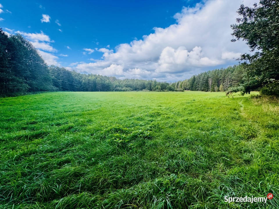 Wyjątkowa działka 242 ha wśród zieleni Cisza Nitki