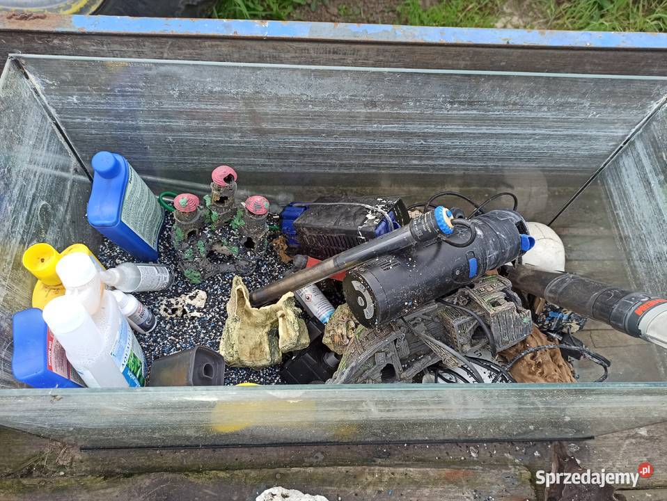 Akwarium z wyposażeniem