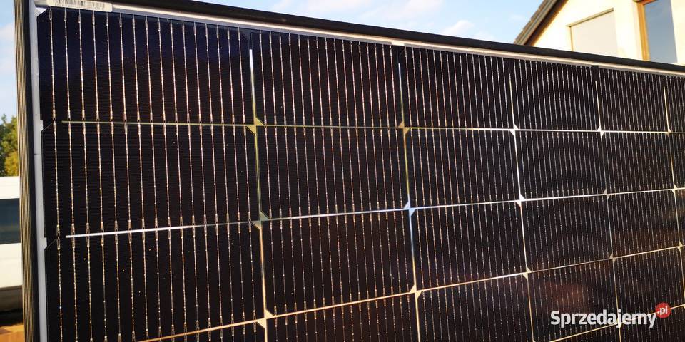 Moduł fotowoltaiczny Panel Bifacial Jolywood Kurowice