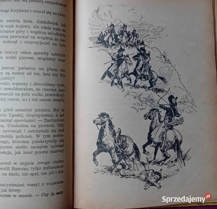 Kurt David Czarny Wilk Wyd Poznańskie 1970 r Koźminek