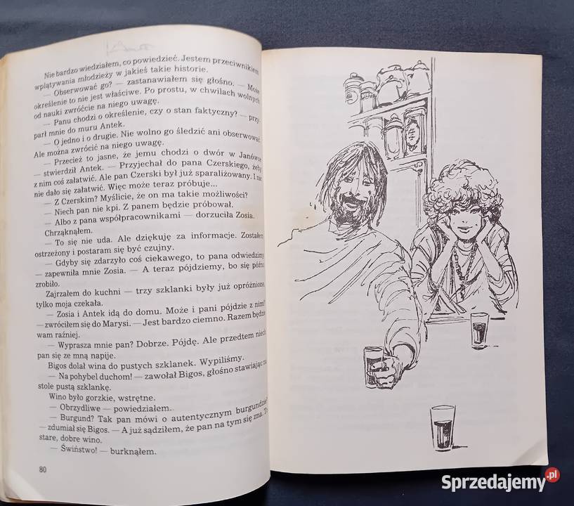 Zbigniew Nienacki Niesamowity dwór Pojezierze Koźminek