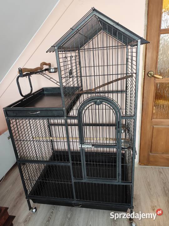 Klatka ptaków dolnośląskie Świdnica