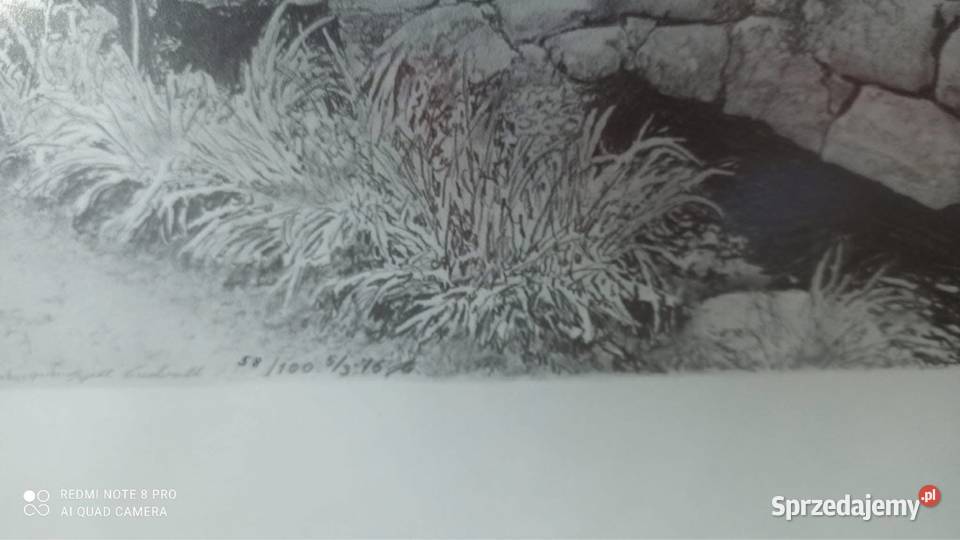 Grafika reprodukcja szkłem Gdańsk