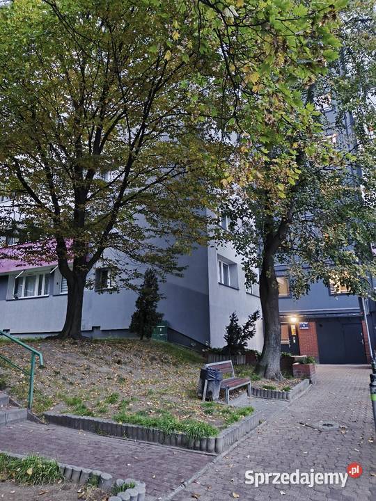Mieszkanie Tysiąclecia Katowice zielona okolica Sprzedaż