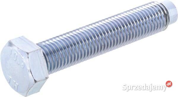 Śruba M20x110 1117720040 Kamionna