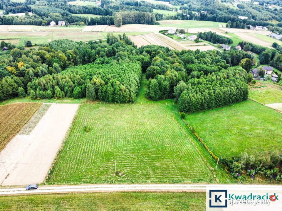 Grunt Huta Gogołowska 6500m2 podkarpackie