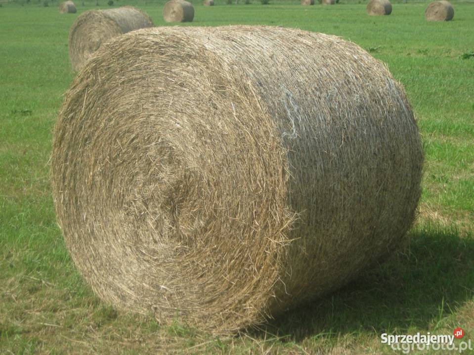 Sprzedam sprzedam