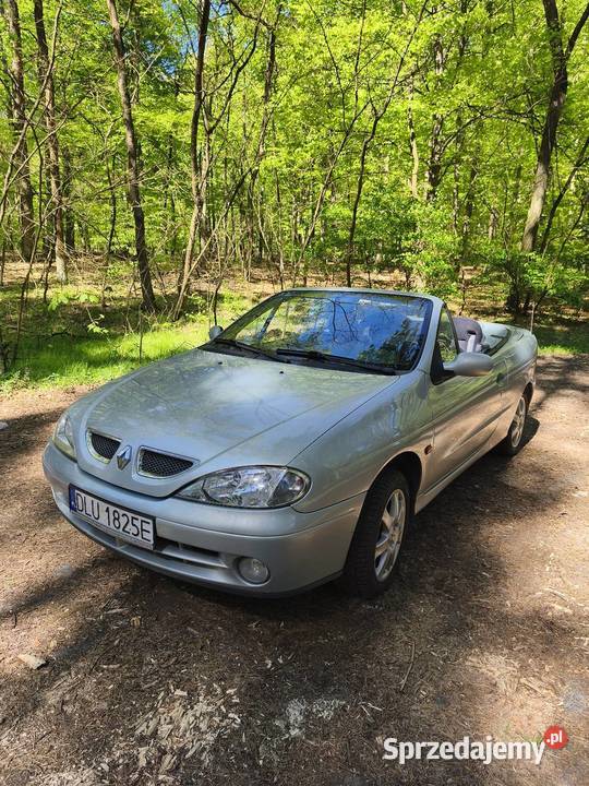 Do sprzedania Renault Megane cabrio elektryczne lusterka Górzyn