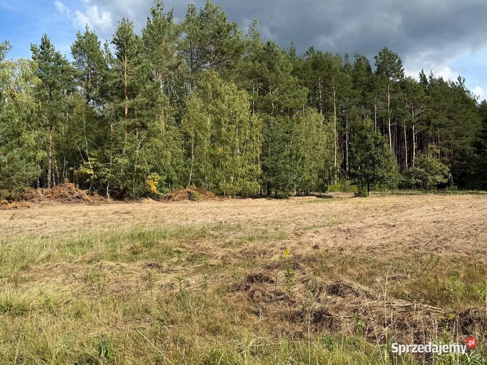 Duża działka pod zabudowę lesie Sprzedaż Gostynin