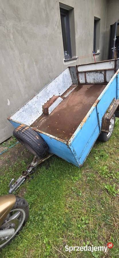 Przyczepa lekka sam 1 lubuskie Lubsko sprzedam