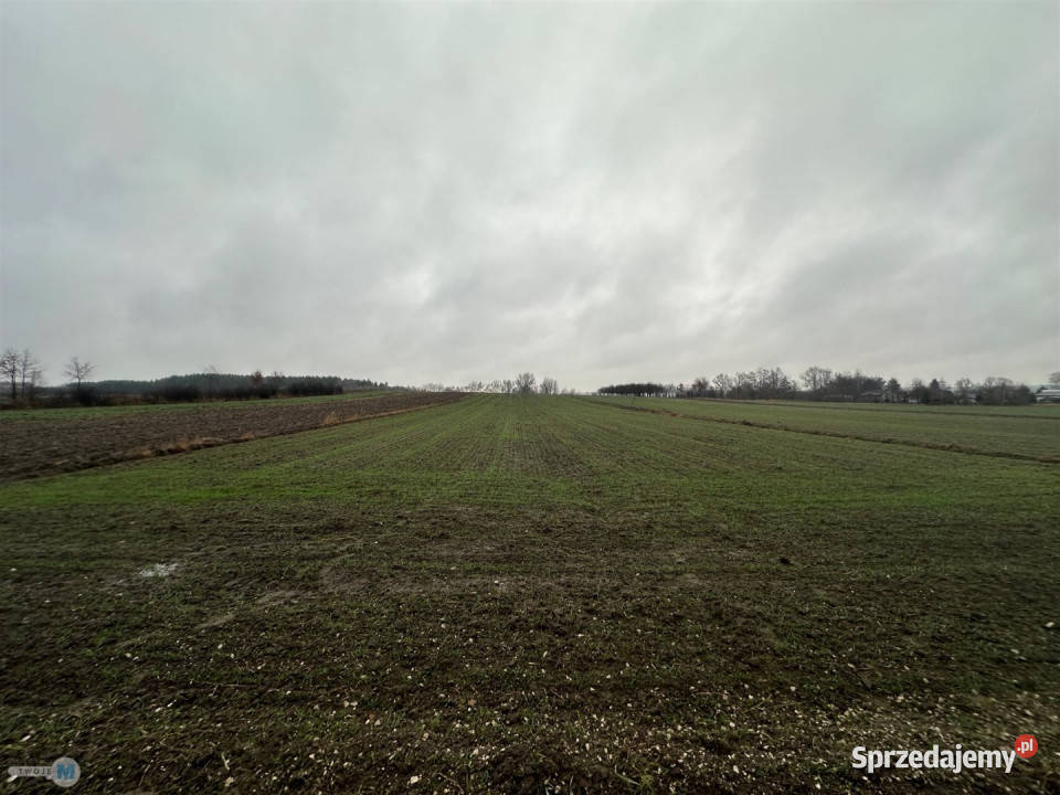 sprzedaży działki Gnojno 5800m2 sprzedam