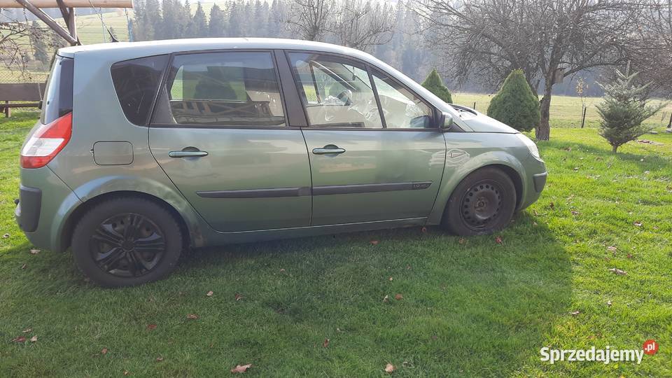 Drzwi lewe przód Renault Scenic II Maruszyna