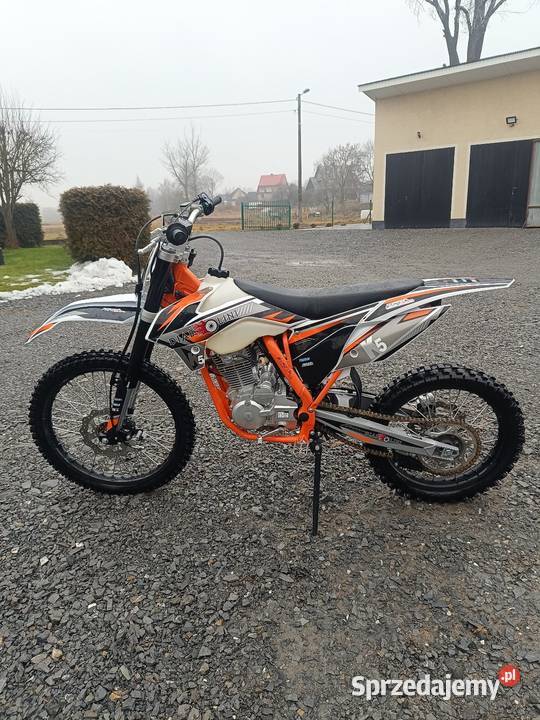 Diabolini k 5 250 Jabłonka