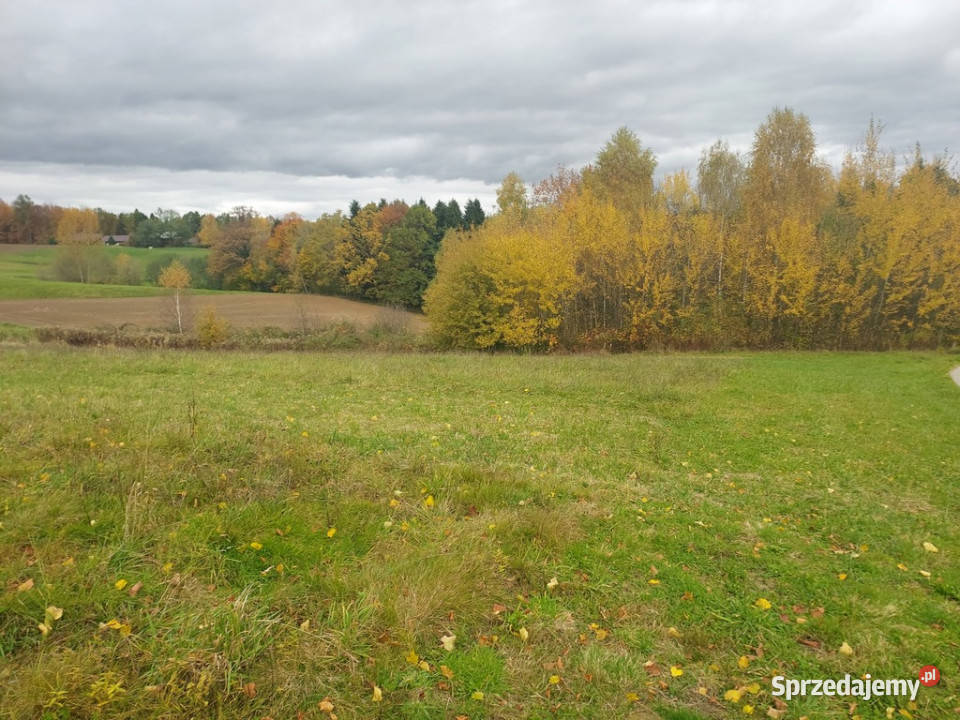 Działka budowlana 36 ar Tuchów Okazyjna