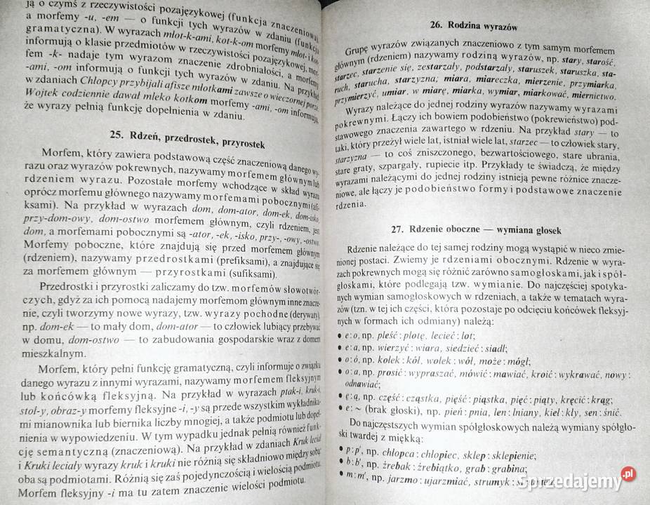 Kompendium gramatyki polskiej Mieczysław Rak Rok wydania 1992 Chełm