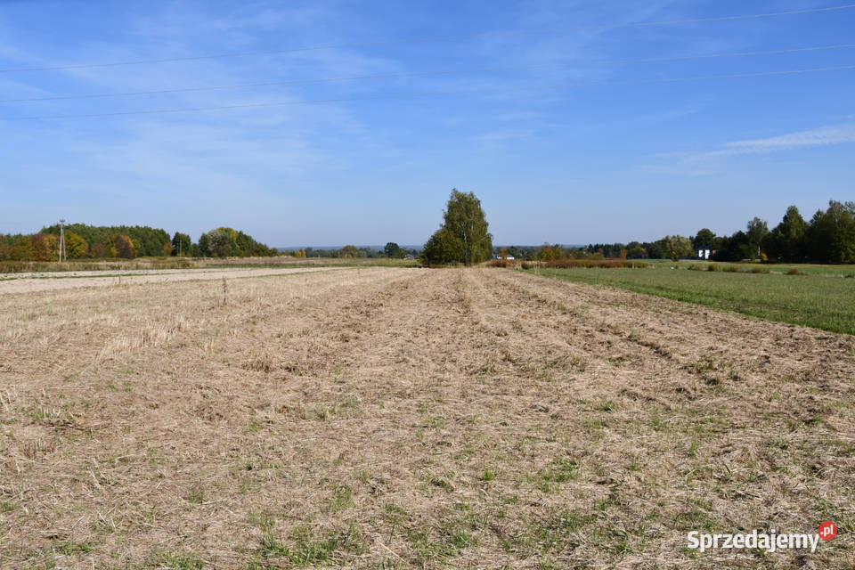 Działka rolna 43a Strażów 43m2