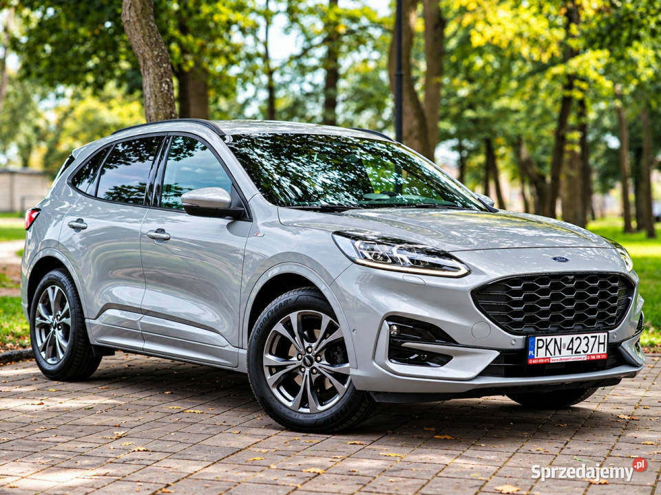 Ford Kuga III 2019 Sadlno