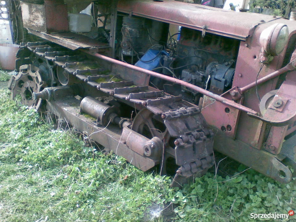 spychacz mazur mazurek Stara Kiszewa