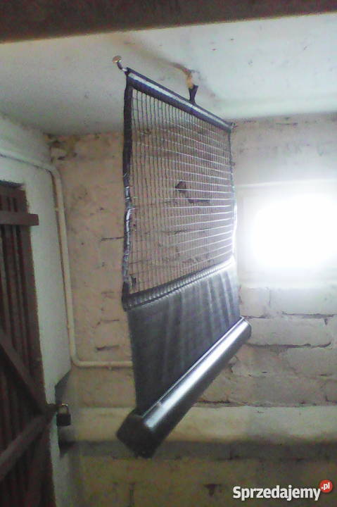 oryginalna roletęsiatkę bagażnika VW PASSAT B5 łódzkie Łódź