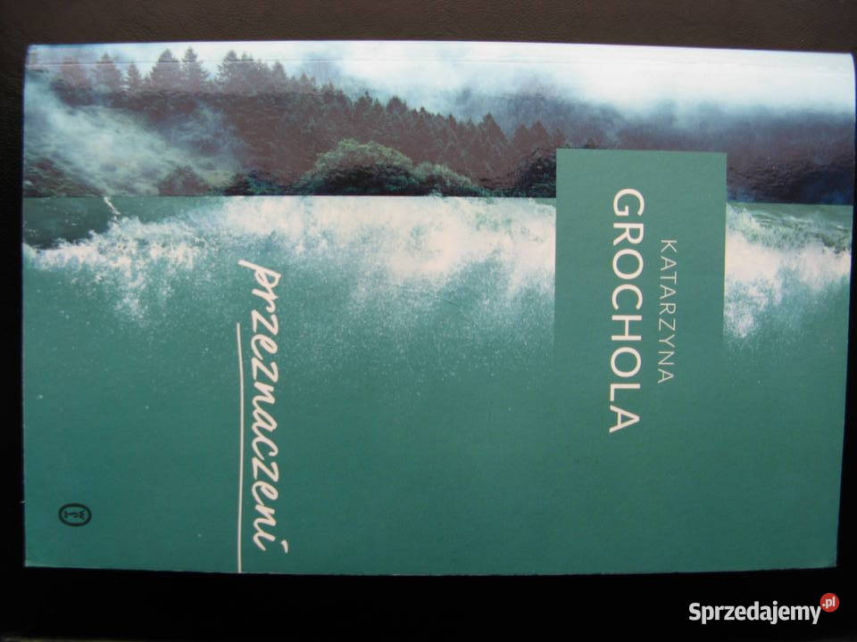 Przeznaczeni Katarzyna Grochola miękka Poznań