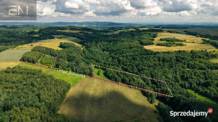 Działka Jaszczurowa 18900m2 Sprzedaż