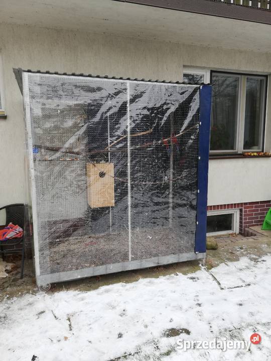 Rozella królewska małopolskie Piotrkowice Wielkie sprzedam